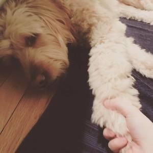 Meet your Posher, Tyler